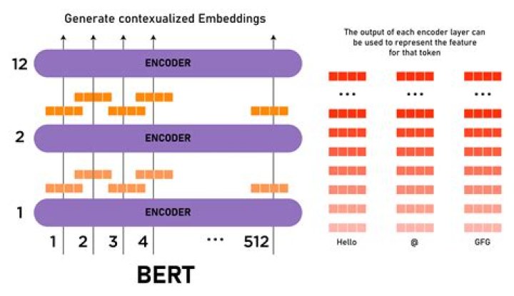 BERT