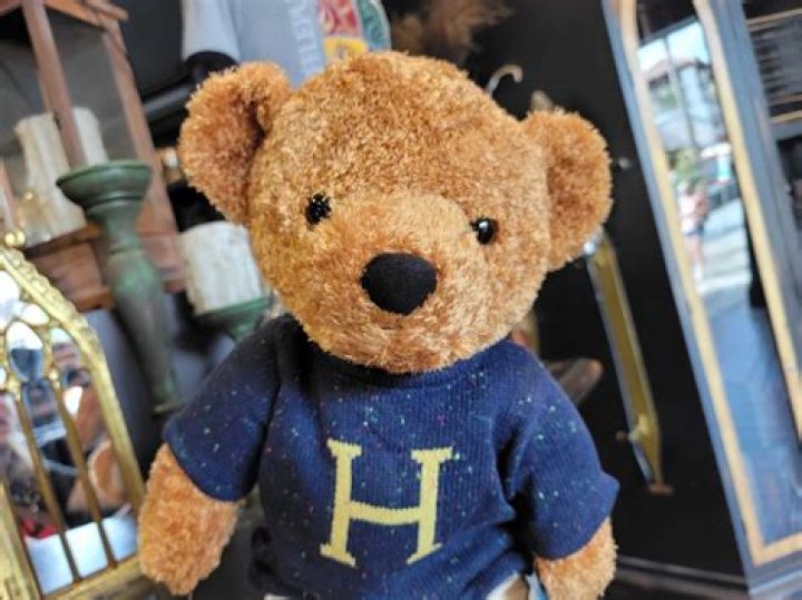 Harry Potter Teddy Bear Names