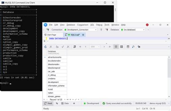 mysql list databases