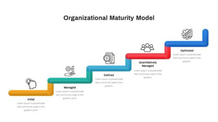 Organizational Maturity